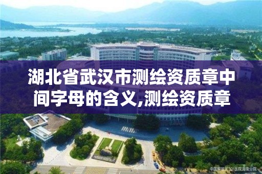 湖北省武汉市测绘资质章中间字母的含义,测绘资质章样式。