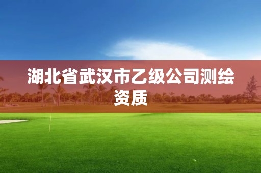 湖北省武汉市乙级公司测绘资质