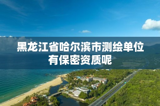 黑龙江省哈尔滨市测绘单位有保密资质呢