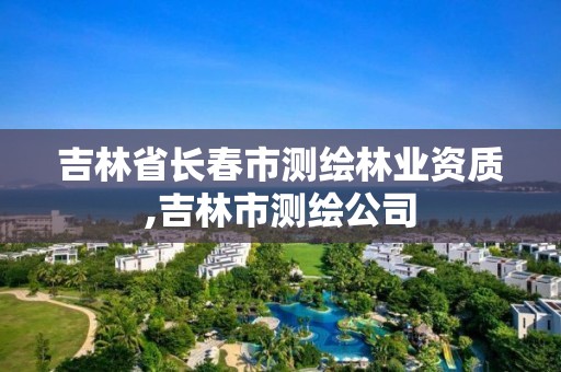 吉林省长春市测绘,吉林市测绘公司