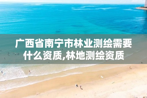 广西省南宁市林业测绘需要什么资质,林地测绘资质