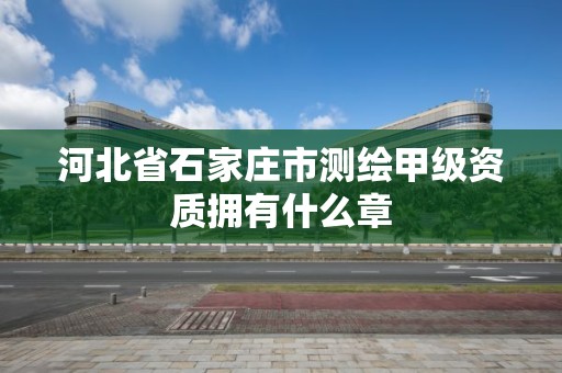 河北省石家庄市测绘甲级资质拥有什么章