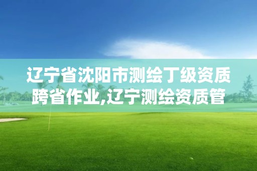 辽宁省沈阳市测绘丁级资质跨省作业,辽宁测绘资质管理系统登录