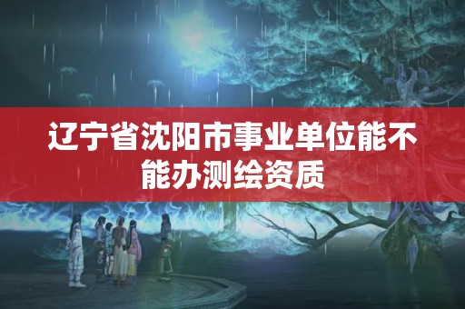 辽宁省沈阳市事业单位能不能办测绘资质