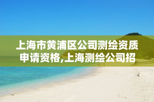 上海市黄浦区公司测绘资质申请资格,上海测绘公司招聘