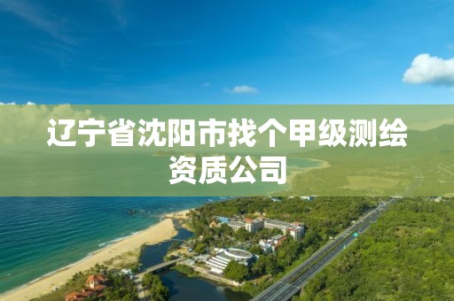 辽宁省沈阳市找个甲级测绘资质公司