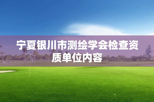 宁夏银川市测绘学会检查资质单位内容