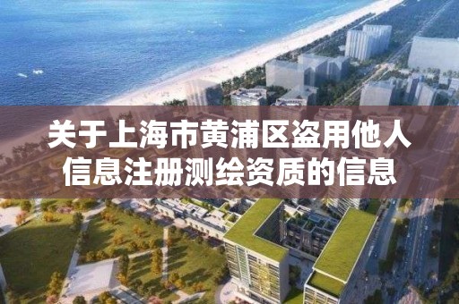 关于上海市黄浦区盗用他人信息注册测绘资质的信息