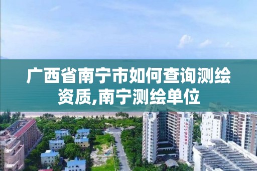 广西省南宁市如何查询测绘资质,南宁测绘单位