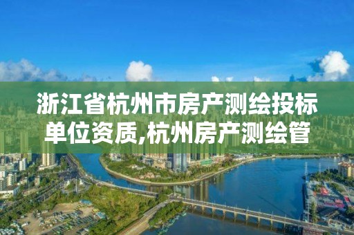 浙江省杭州市房产测绘投标单位资质,杭州房产测绘管理服务平台