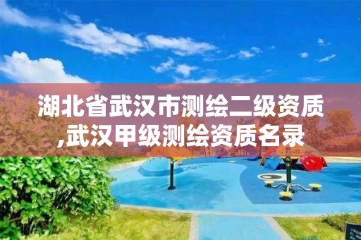 湖北省武汉市测绘二级资质,武汉甲级测绘资质名录