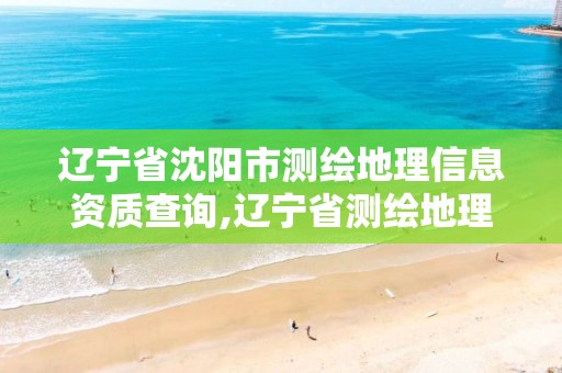 辽宁省沈阳市测绘地理信息资质查询,辽宁省测绘地理信息局电话