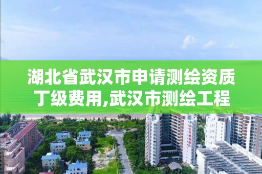 湖北省武汉市申请测绘资质丁级费用,武汉市测绘工程技术规定