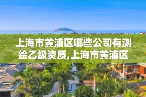 上海市黄浦区哪些公司有测绘乙级资质,上海市黄浦区哪些公司有测绘乙级资质的