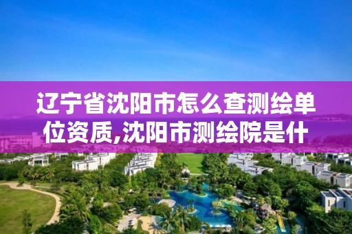 辽宁省沈阳市怎么查测绘单位资质,沈阳市测绘院是什么单位