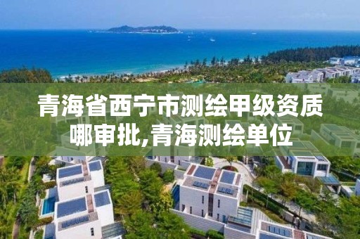 青海省西宁市测绘甲级资质哪审批,青海测绘单位