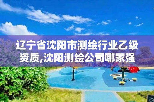 辽宁省沈阳市测绘行业乙级资质,沈阳测绘公司哪家强哪家好