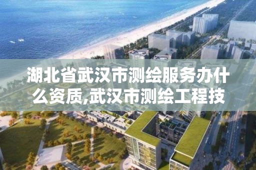 湖北省武汉市测绘服务办什么资质,武汉市测绘工程技术规定