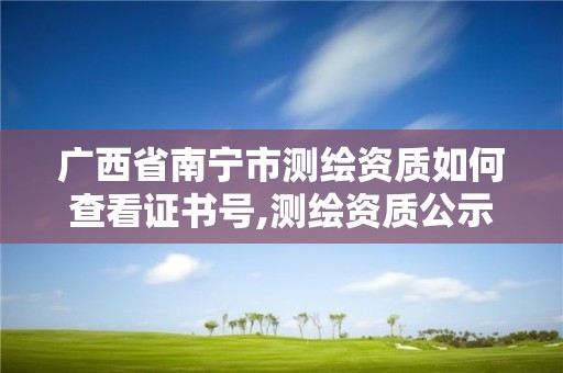 广西省南宁市测绘资质如何查看证书号,测绘资质公示在哪里查询。