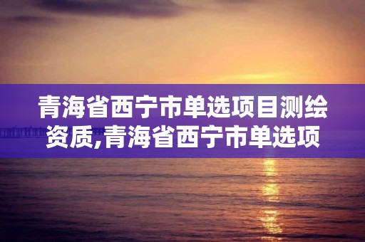 青海省西宁市单选项目测绘资质,青海省西宁市单选项目测绘资质公示