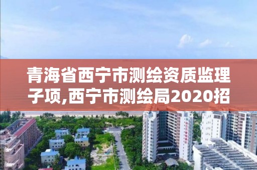 青海省西宁市测绘资质监理子项,西宁市测绘局2020招聘