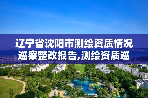 辽宁省沈阳市测绘资质情况巡察整改报告,测绘资质巡查报告