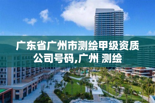 广东省广州市测绘甲级资质公司号码,广州 测绘