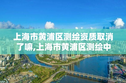 上海市黄浦区测绘资质取消了嘛,上海市黄浦区测绘中心