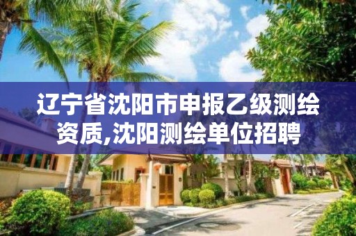 辽宁省沈阳市申报乙级测绘资质,沈阳测绘单位招聘