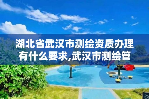 湖北省武汉市测绘资质办理有什么要求,武汉市测绘管理条例。