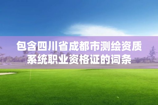 包含四川省成都市测绘资质系统职业资格证的词条