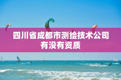 四川省成都市测绘技术公司有没有资质