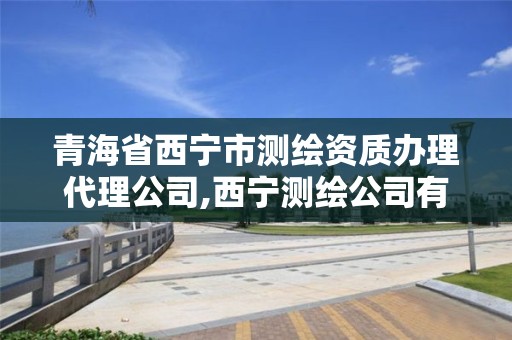 青海省西宁市测绘资质办理代理公司,西宁测绘公司有哪些