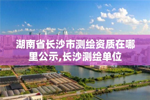 湖南省长沙市测绘资质在哪里公示,长沙测绘单位