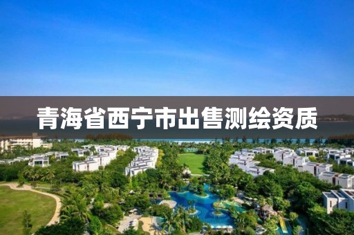 青海省西宁市出售测绘资质