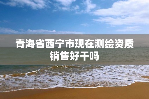 青海省西宁市现在测绘资质销售好干吗