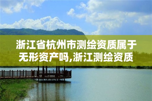 浙江省杭州市测绘资质属于无形资产吗,浙江测绘资质查询。