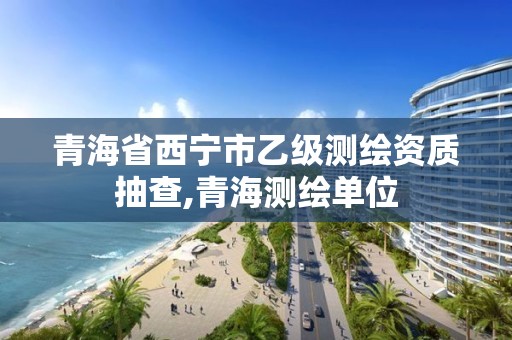 青海省西宁市乙级测绘资质抽查,青海测绘单位