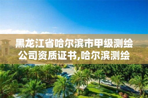 黑龙江省哈尔滨市甲级测绘公司资质证书,哈尔滨测绘公司有哪些。