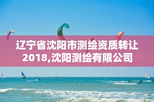 辽宁省沈阳市测绘资质转让2018,沈阳测绘有限公司