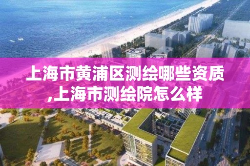 上海市黄浦区测绘哪些资质,上海市测绘院怎么样