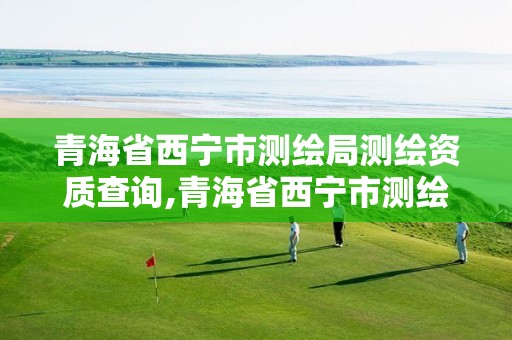 青海省西宁市测绘局测绘资质查询,青海省西宁市测绘局测绘资质查询网