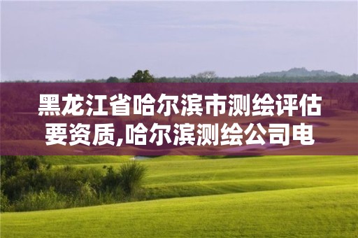 黑龙江省哈尔滨市测绘评估要资质,哈尔滨测绘公司电话