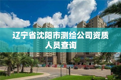 辽宁省沈阳市测绘公司资质人员查询