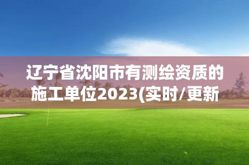 辽宁省沈阳市有测绘资质的施工单位2023(实时/更新中)