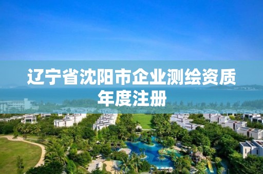 辽宁省沈阳市企业测绘资质年度注册