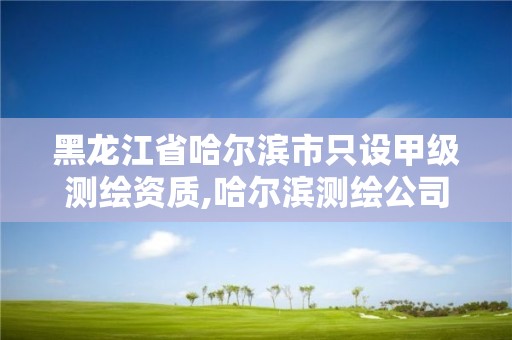 黑龙江省哈尔滨市只设甲级测绘资质,哈尔滨测绘公司哪家好