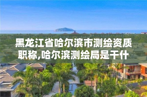 黑龙江省哈尔滨市测绘资质职称,哈尔滨测绘局是干什么的