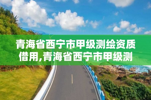 青海省西宁市甲级测绘资质借用,青海省西宁市甲级测绘资质借用公示