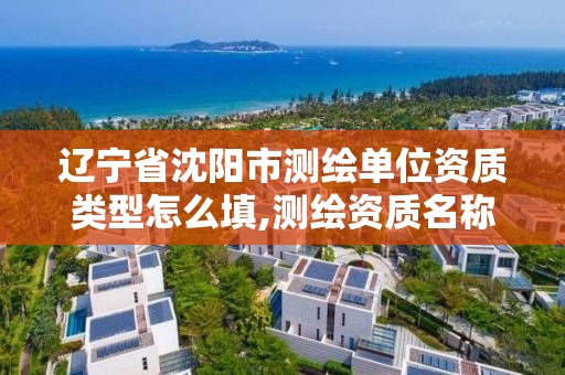 辽宁省沈阳市测绘单位资质类型怎么填,测绘资质名称